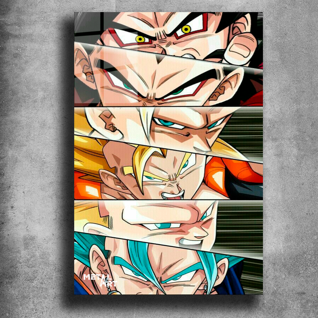 Goku fases 1072