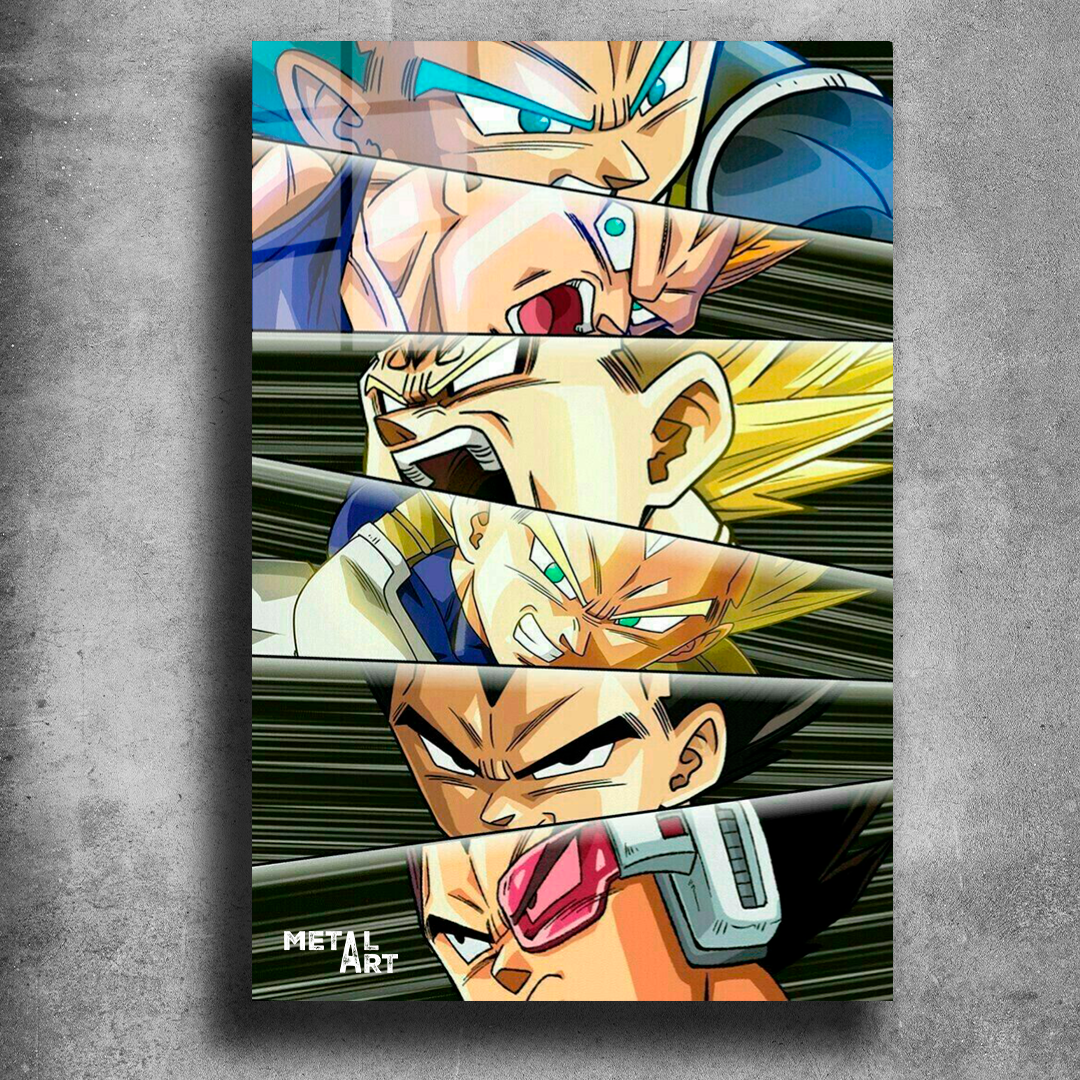 VEGETA FASES DRAGON BALL 1047