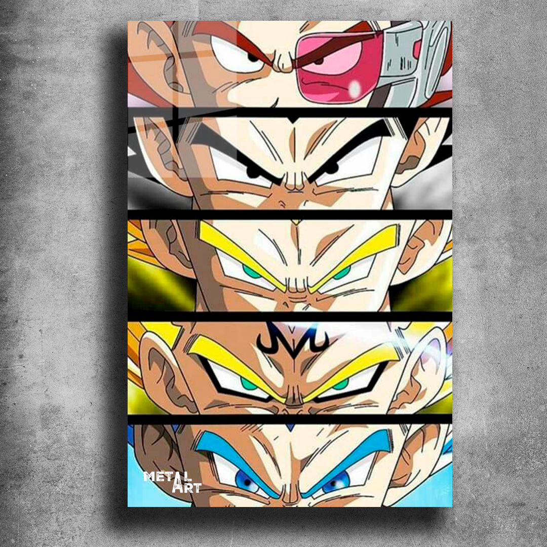 VEGETA FASES DRAGON BALL 1048