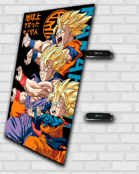 GOKU-GOHAN-GOTEN 1001