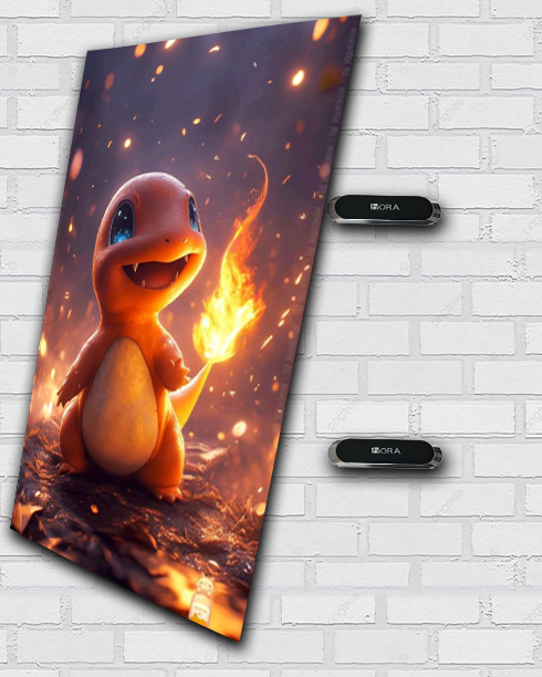 CHARMANDER FUEGO Pokemon 1005